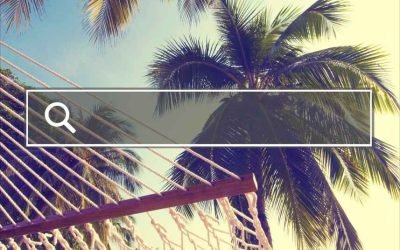 A South Florida SEO Agency Can Help Your Business Stand Out