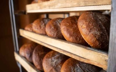 Client Success Spotlight: B2B Website Redesign & SEO for a National Frozen Food Manufacturer
