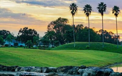 Coral Springs Web Designer