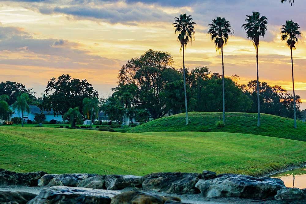 Coral-Springs-Web-Designer Coral Springs Web Designer