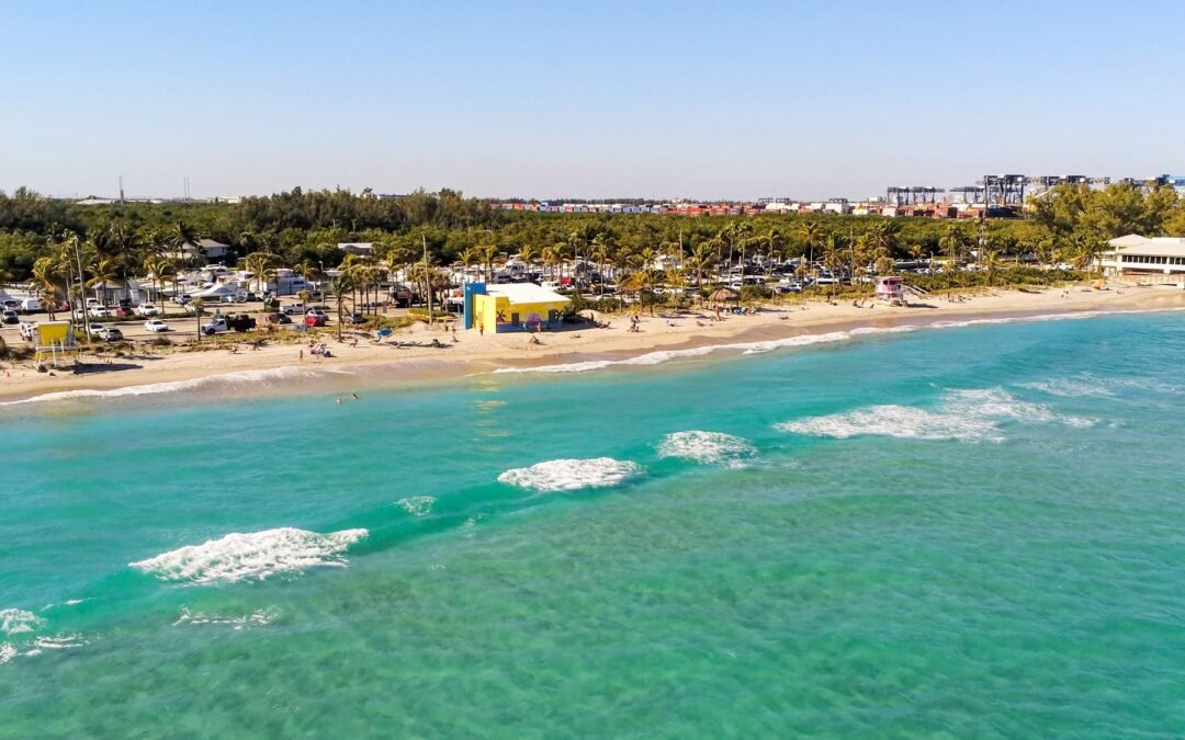 Dania Beach Web Designer