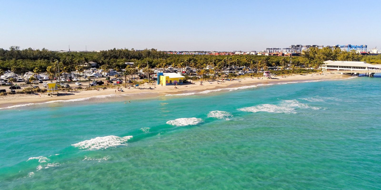 Dania Beach Web Designer