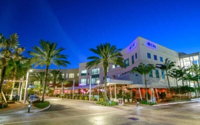 Coconut Creek Web Designer